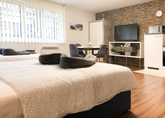 Apartment Vips Vienna